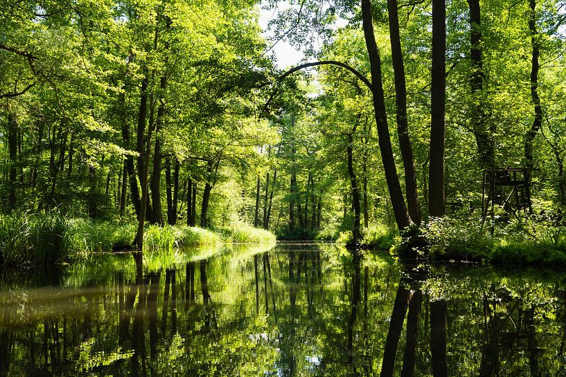 Warm summer day in the Spreewald by Aurica Voss