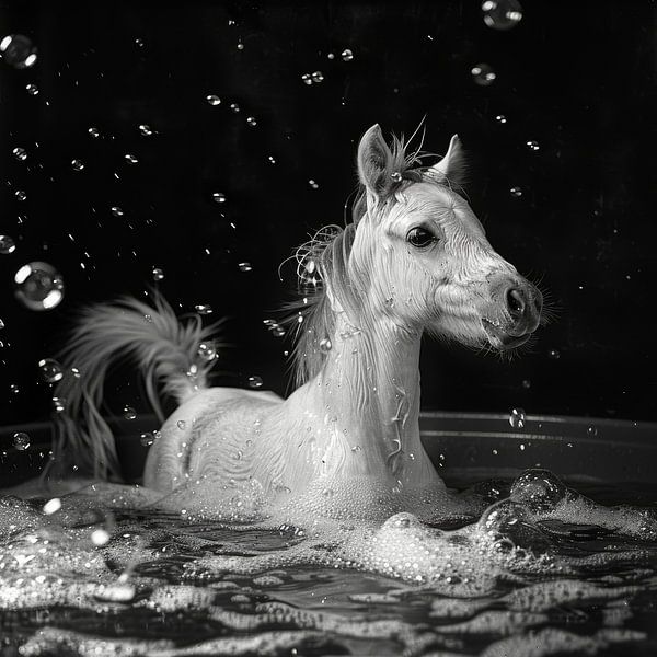 Playful pony in the bathtub - A charming bathroom picture for your WC by Poster Art Shop