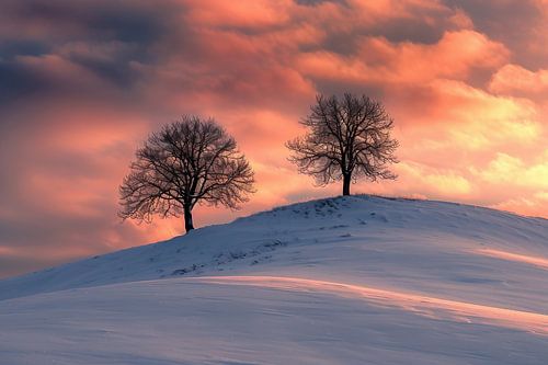 Harmonie in de winterkou