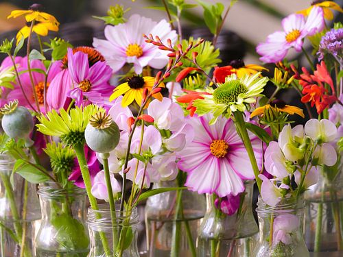 Farbenfrohes Stillleben aus frischen Sommerblumen