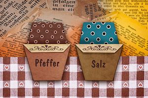 L'origami rencontre la cuisine - poivre et sel