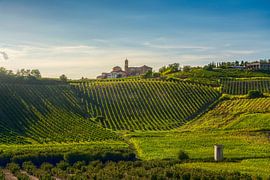 Hilltop Village of Montegrosso d'Asti over Vineyard Landscape by Stefano Orazzini