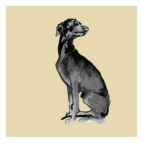 Un chien très moderne n° 7