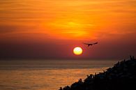 Gannet and sunset by Judith Borremans thumbnail