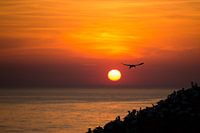 Jan-van-Gent tijdens de zonsondergang