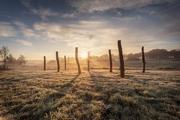 Palendorp Borger in de nevel en ochtendzon van KB Design & Photography (Karen Brouwer)