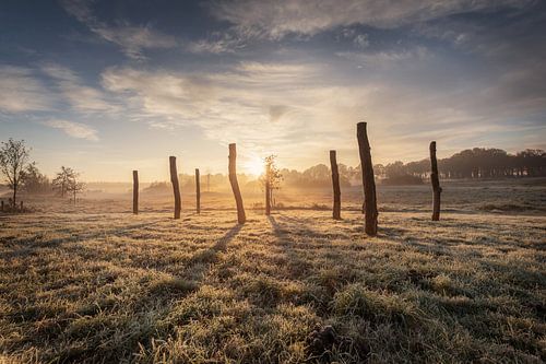 Palendorp Borger in the mist and morning sun