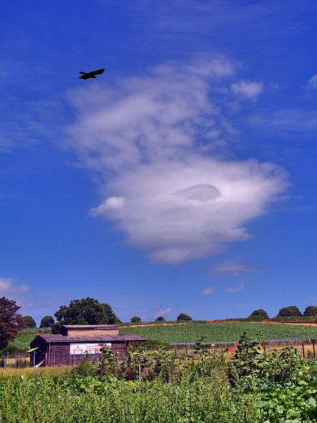 La beauté des nuages par Edgar Schermaul
