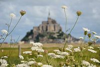 Le Mont Saint-Michel en arrière-plan