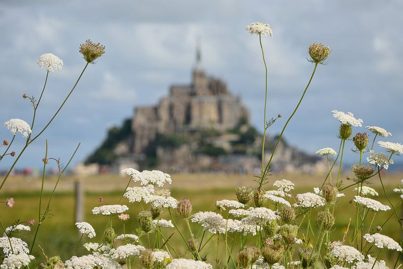 Mont Saint-Michel achtergrond van Evert-Jan Hoogendoorn