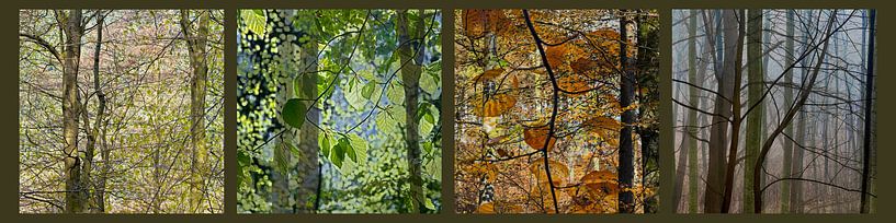les arbres au printemps, en été, en automne et en hiver par Hanneke Luit