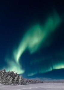 Nordlichter in Lappland | Reisefotografie Druck | Finnland