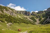 dans les montagnes