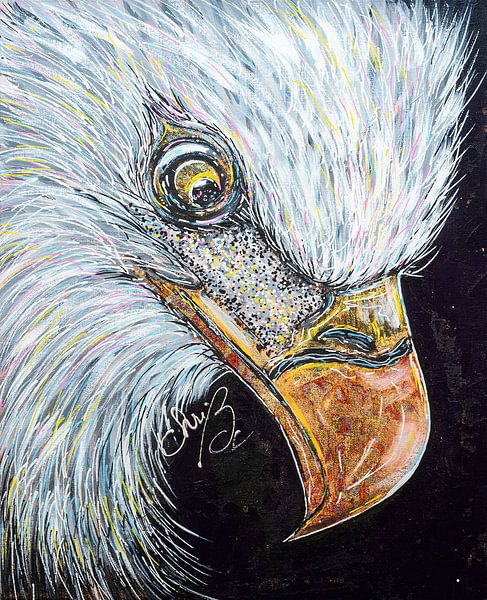 Fokus von Christel De Buyser