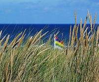 Terschellinger strand bij Oosterend