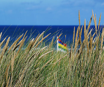 Terschellinger strand bij Oosterend