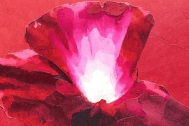 „Feurige Widerstandskraft“: ein abstraktes Mixed-Media-Blumenbild mit einer roten Mohnblume von Dirk van der Ven