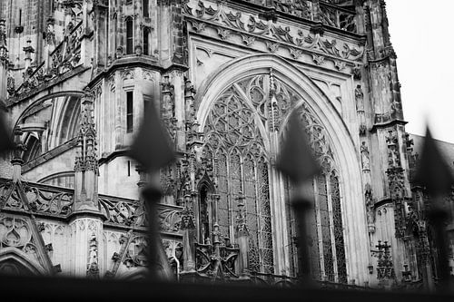 La cathédrale St. John's en noir et blanc