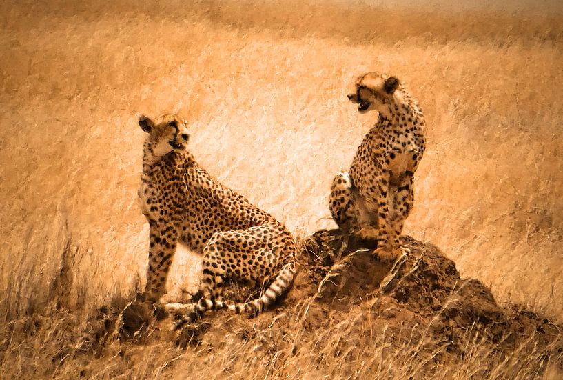 Cheetah couple von Rianne Magic moments