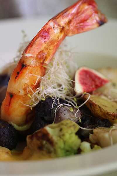 Gamba! by Bärbel Severens