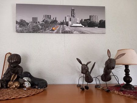 Panorama Tilburg with a train