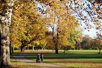 Herbst Spaziergang im Park