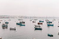 Des bateaux de pêche colorés à Cascais, au Portugal.