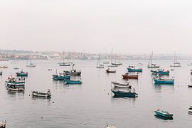 Des bateaux de pêche colorés à Cascais, au Portugal. sur Leanne Remmerswaal