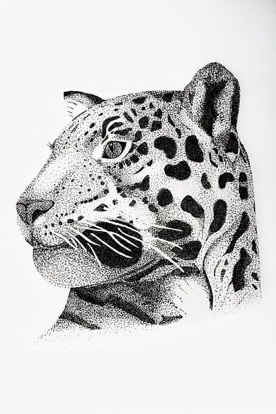 Leopard - Original von Lianne Landsman