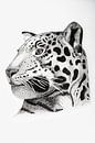 Leopard - Original von Lianne Landsman Miniaturansicht