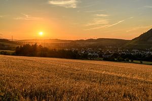 goldener Sommer von Heinz Grates