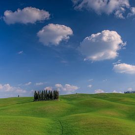 Sommer in der Toskana von Achim Thomae Photography