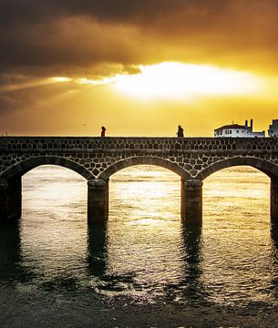 Le pont sur Harrie Muis