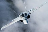 Zwitserse F/A-18 Hornet