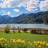 Parterre de tulipes dans le parc thermal de Schliersee avec vue sur la montagne sur SusaZoom
