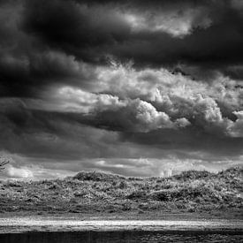 Schoorlse Duinen national park by Alessia Peviani