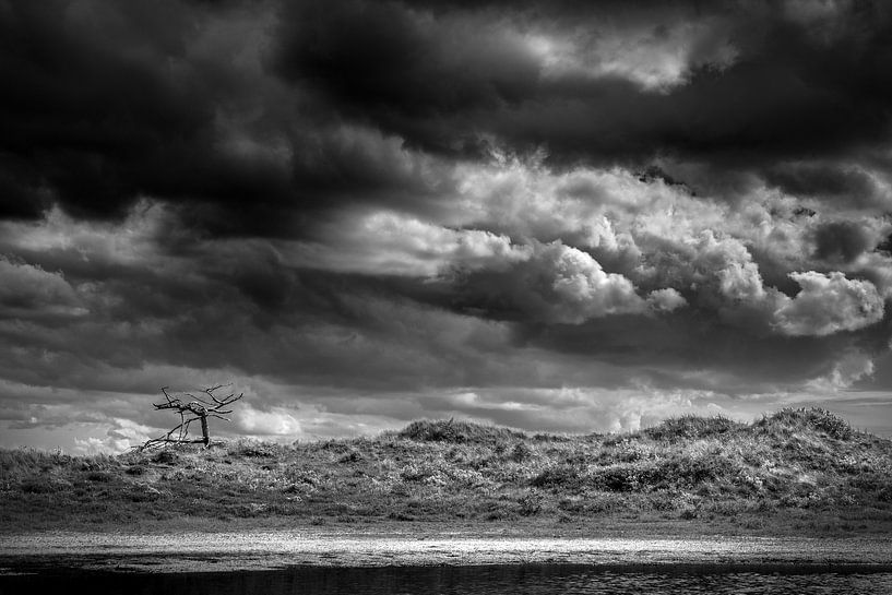 Schoorlse Duinen national park van Alessia Peviani