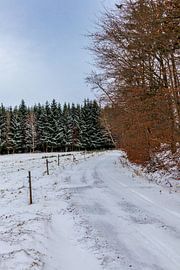 Winterspaziergang auf den Höhen des Thüringer Waldes von Oliver Hlavaty
