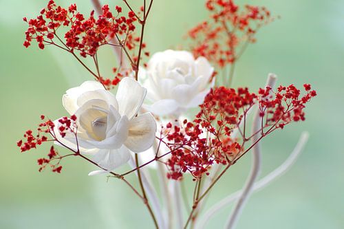 Frisches Rosenblüten Stillleben