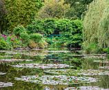 Brug in de tuinen van Claude Monet in Giverny van Martijn Joosse thumbnail