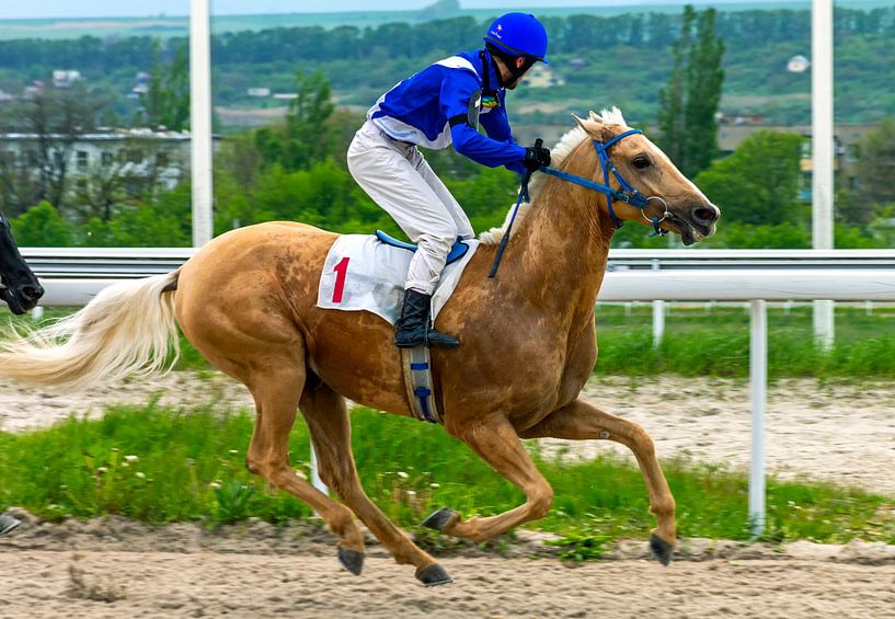 Der Zieleinlauf des Pferderennens. von Mikhail Pogosov