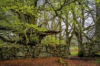 Le gardien par Lars van de Goor Aperçu