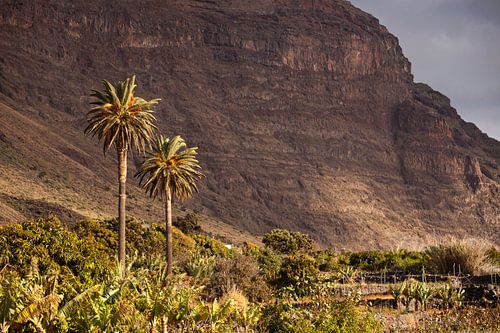 Valle Gran Rey, La Gomera