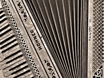 New perspective - Accordion by BHotography