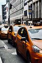 New York Yellow Cabs van Suzanne Brand thumbnail