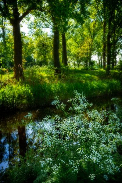 Whistleblower dream by R Smallenbroek