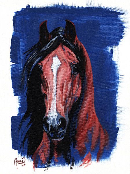 Arabian thoroughbred, stallion, horse in blue by Annemarie ten Hacken