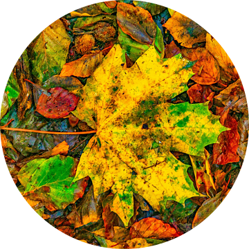 Herfstbladeren 2020 van Alround fotograaf Minou Spits