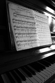 Pianol zwart-wit beeld by Falko Follert
