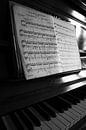 Pianol zwart-wit beeld von Falko Follert Miniaturansicht